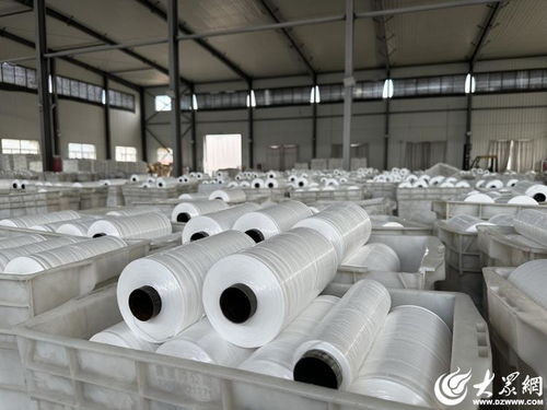 解碼經緯交錯間的堅守與創新——民企陽谷廣信的小小編織袋織出大天地